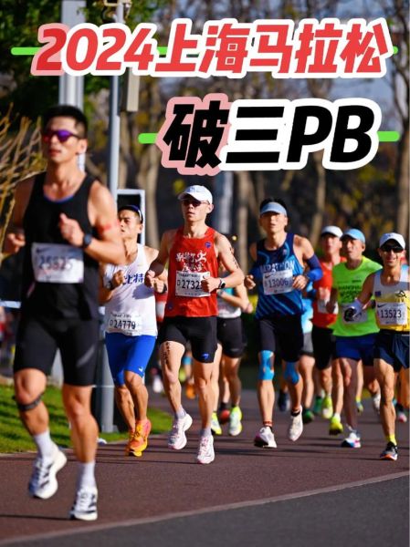 上马前景怎么样_2024年还能入场吗