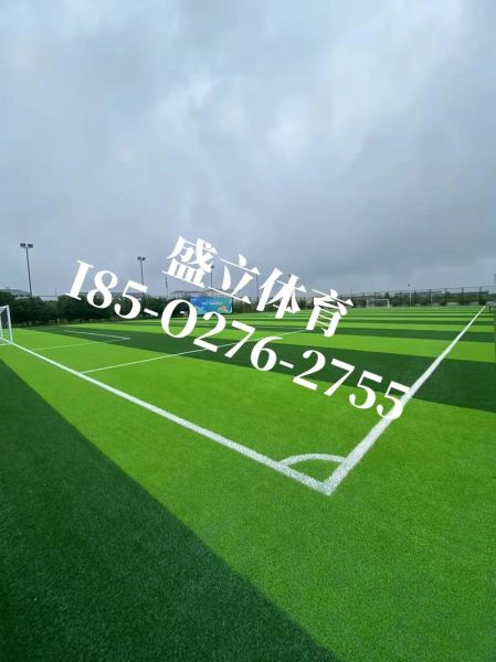 人造草坪多少钱一平_人造草坪能用多久