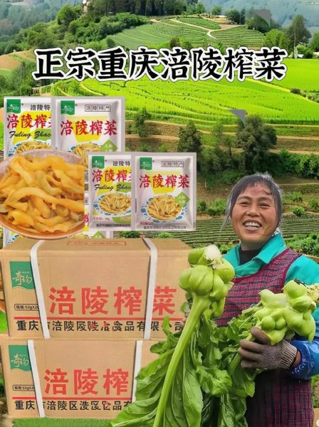 榨菜行业前景怎么样_榨菜品牌如何突围