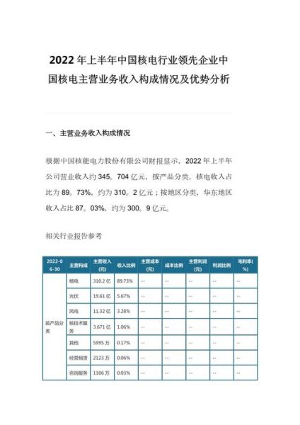 核电行业财务分析怎么做_核电企业盈利能力如何提升