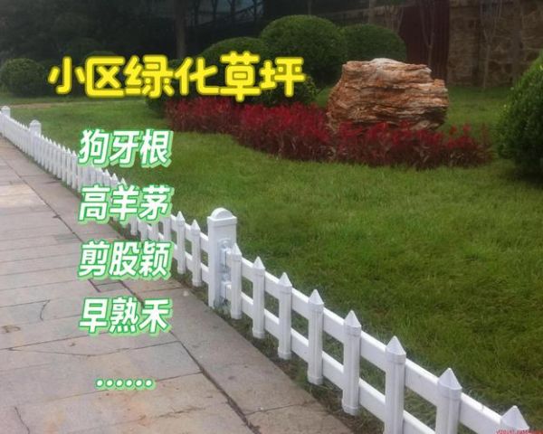 绿化公司怎么选_小区绿化多少钱一平方