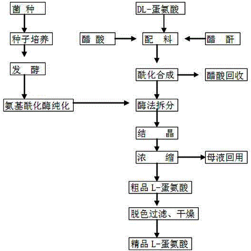 蛋氨酸价格走势_蛋氨酸生产工艺有哪些