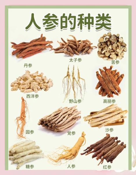 人参价格多少钱一斤_如何挑选优质人参