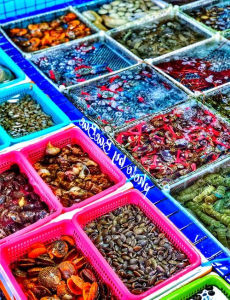 海鲜批发市场进货渠道有哪些_如何挑选新鲜海鲜