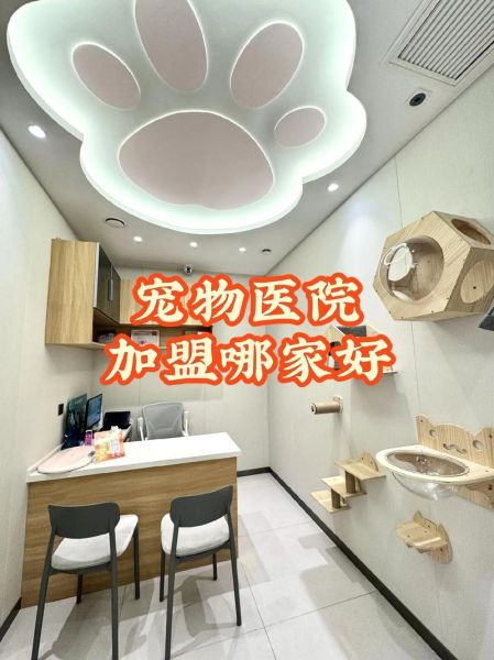 宠物医院前景怎么样_开宠物医院赚钱吗