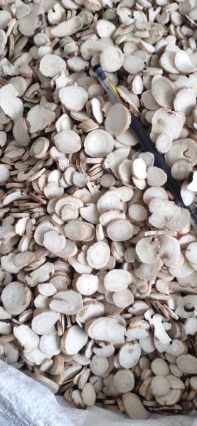 白芍种植前景怎么样_白芍未来五年价格走势