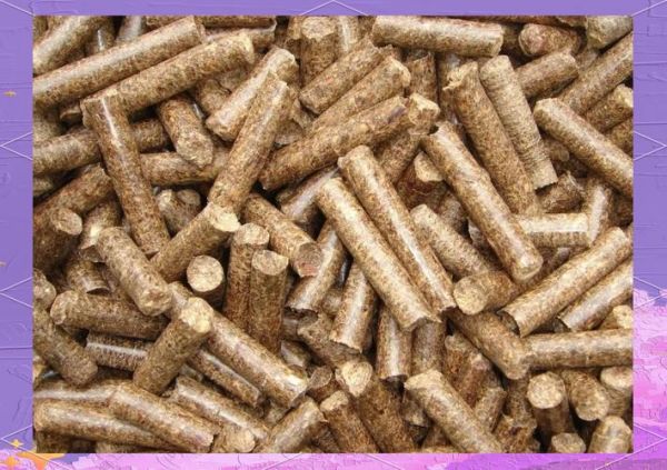 生物燃料前景如何_生物燃料有哪些种类