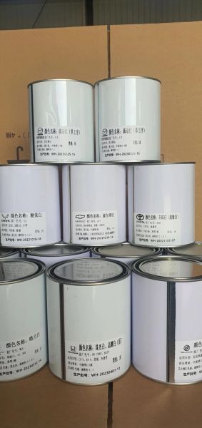 汽车油漆品牌哪个好_汽车油漆多久能干