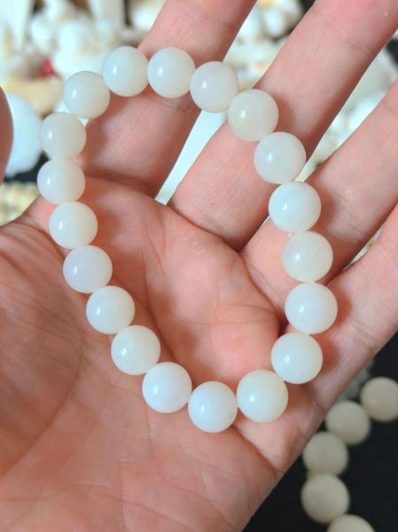 砗磲未来升值空间_砗磲收藏前景怎么样