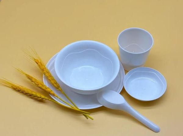 一次性餐具市场前景如何_环保替代品有哪些