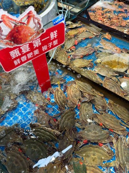 海鲜市场未来五年会爆发吗_2024年做海鲜生意还能赚钱吗