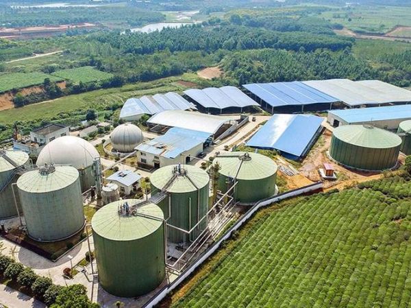 沼气发展前景怎么样_沼气工程赚钱吗