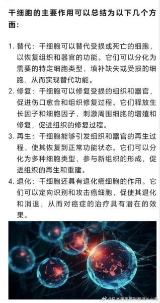 干细胞治疗靠谱吗_干细胞应用前景有哪些