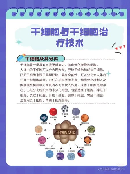 干细胞治疗靠谱吗_干细胞应用前景有哪些
