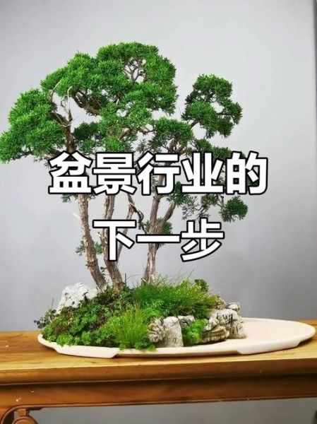 盆景前景怎么样_盆景行业发展趋势