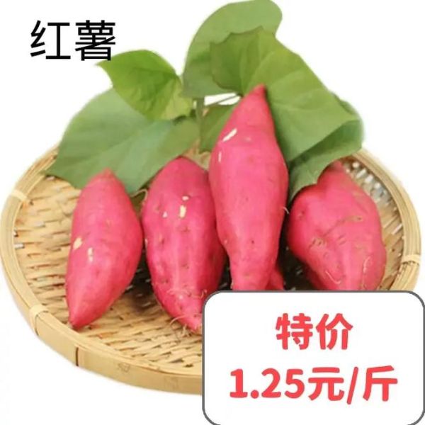 2017年大白菜价格走势_种大白菜赚钱吗