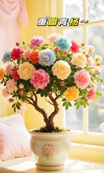 花卉种植前景怎么样_2024年种什么花最赚钱