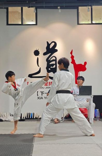 跆拳道行业前景怎么样_跆拳道馆加盟赚钱吗