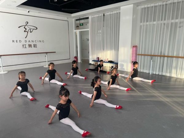 舞蹈机构加盟前景怎么样_少儿舞蹈培训赚钱吗