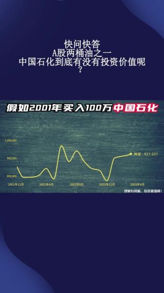 中国石化未来发展方向_中国石化投资价值分析