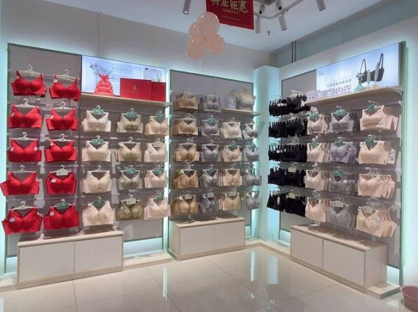 内衣市场前景怎么样_内衣加盟赚钱吗