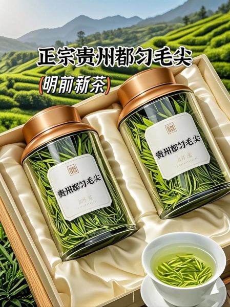 绿茶前景怎么样_2024绿茶市场趋势分析