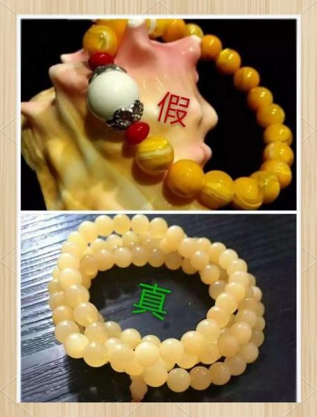 砗磲前景怎么样_砗磲值得投资吗