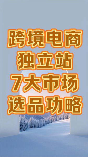 跨境电商独立站怎么做_如何选品和引流