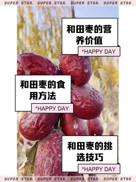 和田枣前景怎么样_和田枣种植赚钱吗