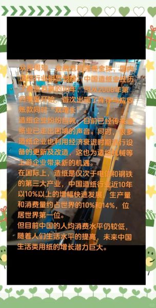 造纸市场前景如何_2024年造纸行业还能投资吗