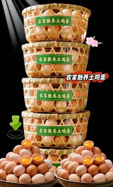 土鸡蛋前景怎么样_土鸡蛋赚钱吗