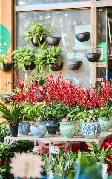 花卉前景怎么样_花卉行业未来赚钱吗