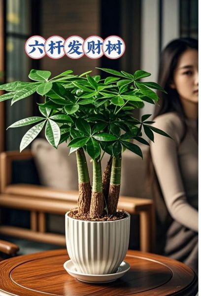 盆景生意赚钱吗_盆景市场前景怎么样