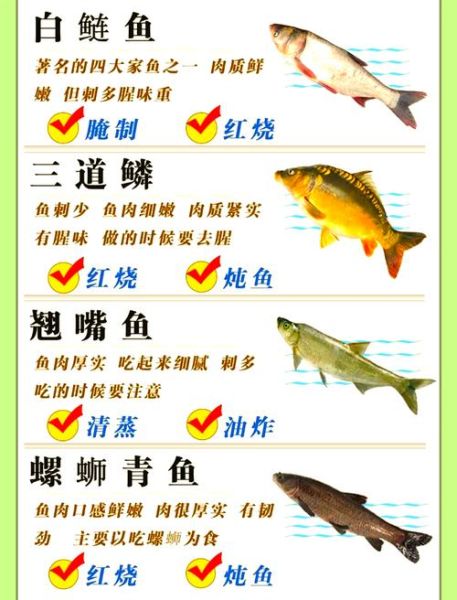 淡水鱼养殖前景怎么样_淡水鱼养殖赚钱吗