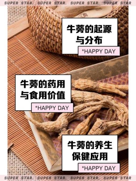 牛蒡种植前景怎么样_牛蒡未来市场价值